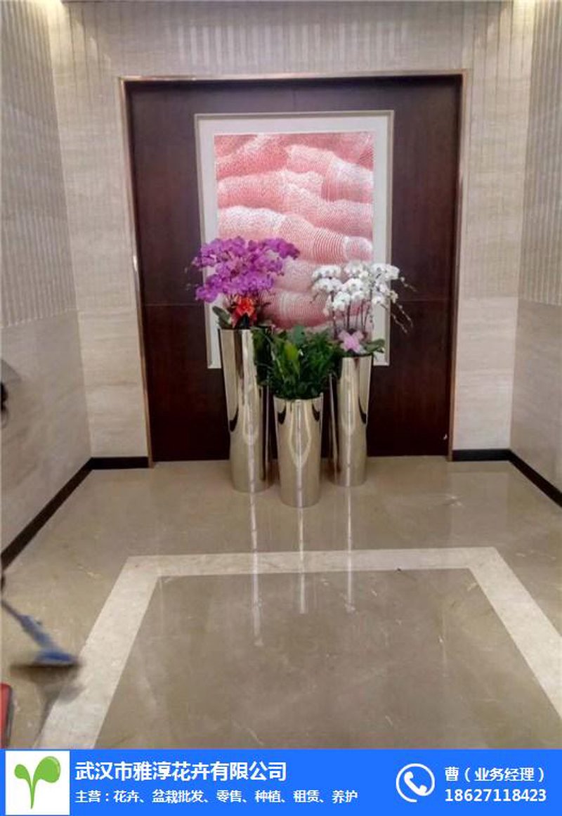 绿化工程：城市绿色画卷的新篇章